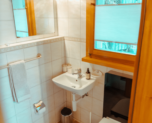 Ferienwohnung Cresta Rey in Zermatt - Gästetoilette